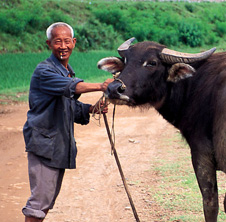 小型飼料顆粒機(jī),農(nóng)民圓夢(mèng)！